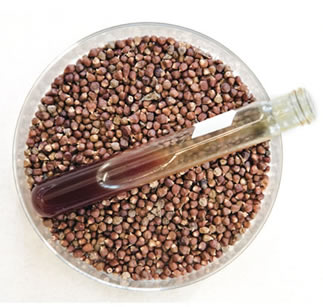 Grains