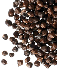 Grains of Paradise